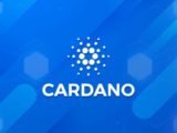 ISPO Cardano